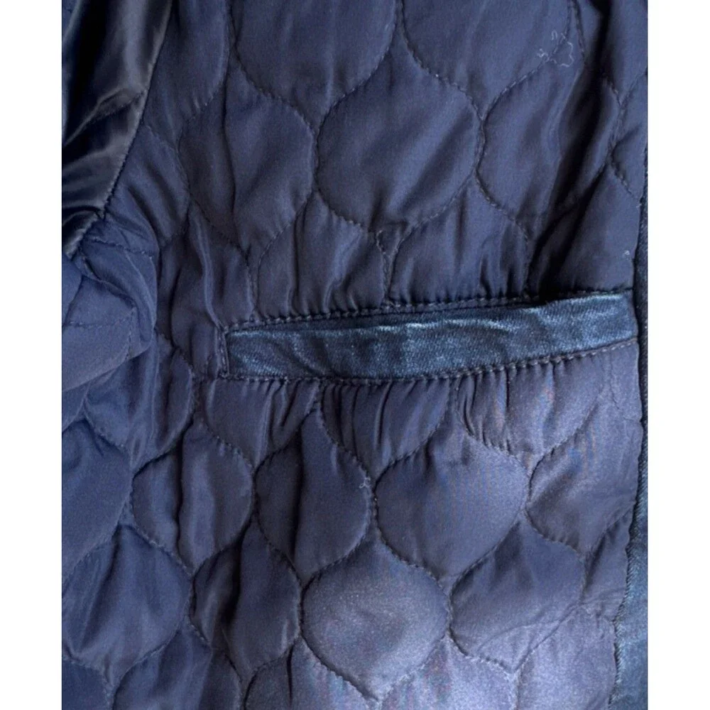 Levis levis mens